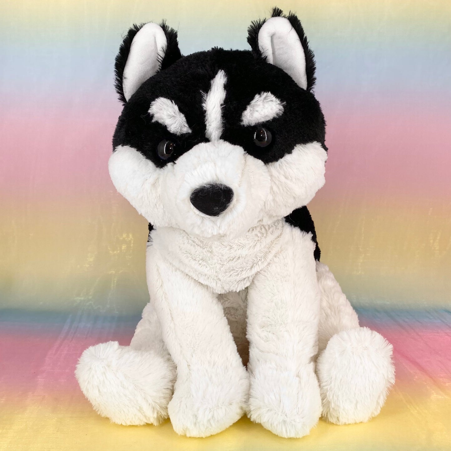 Kuttari The Siberian Husky - Black - Large