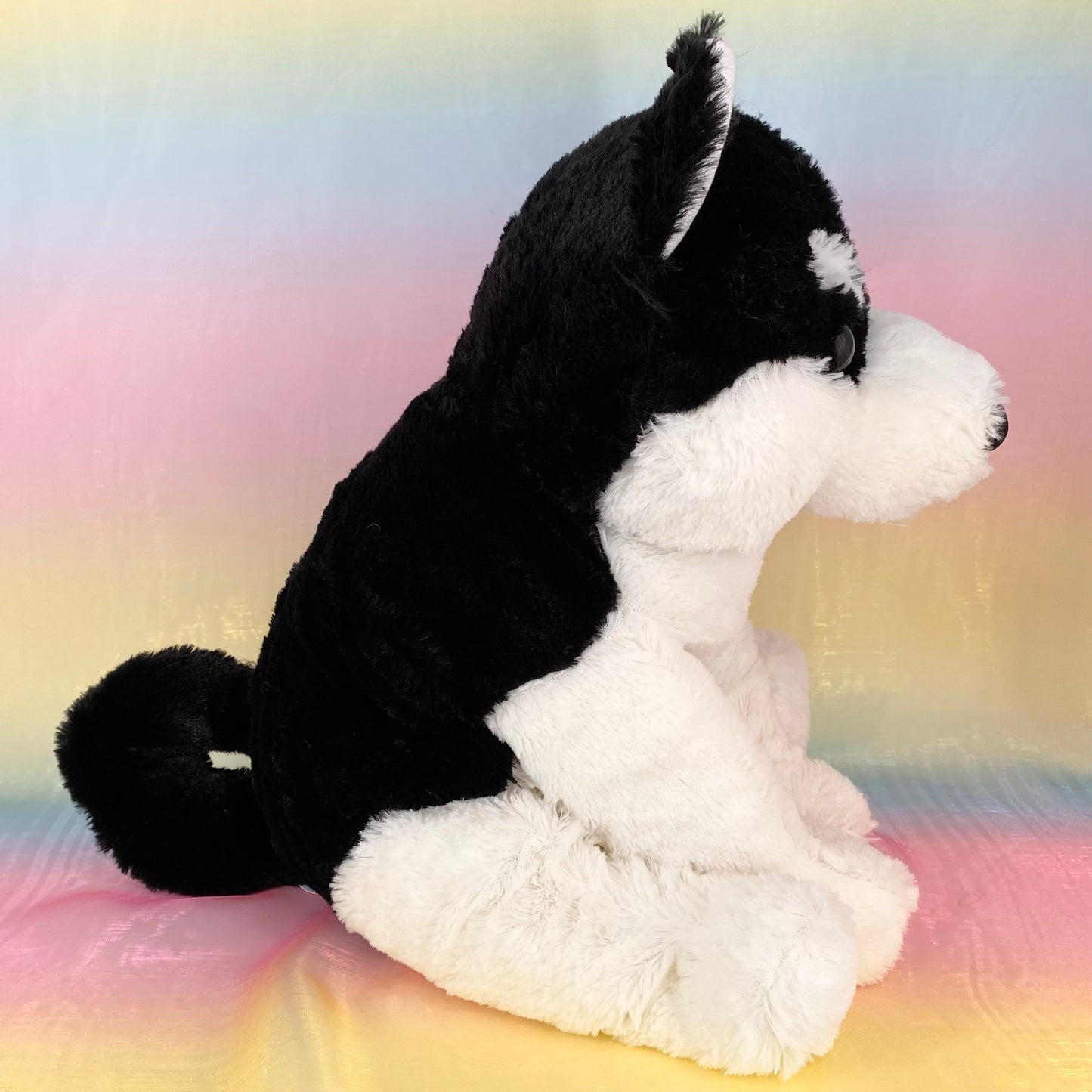 Kuttari The Siberian Husky - Black - Large