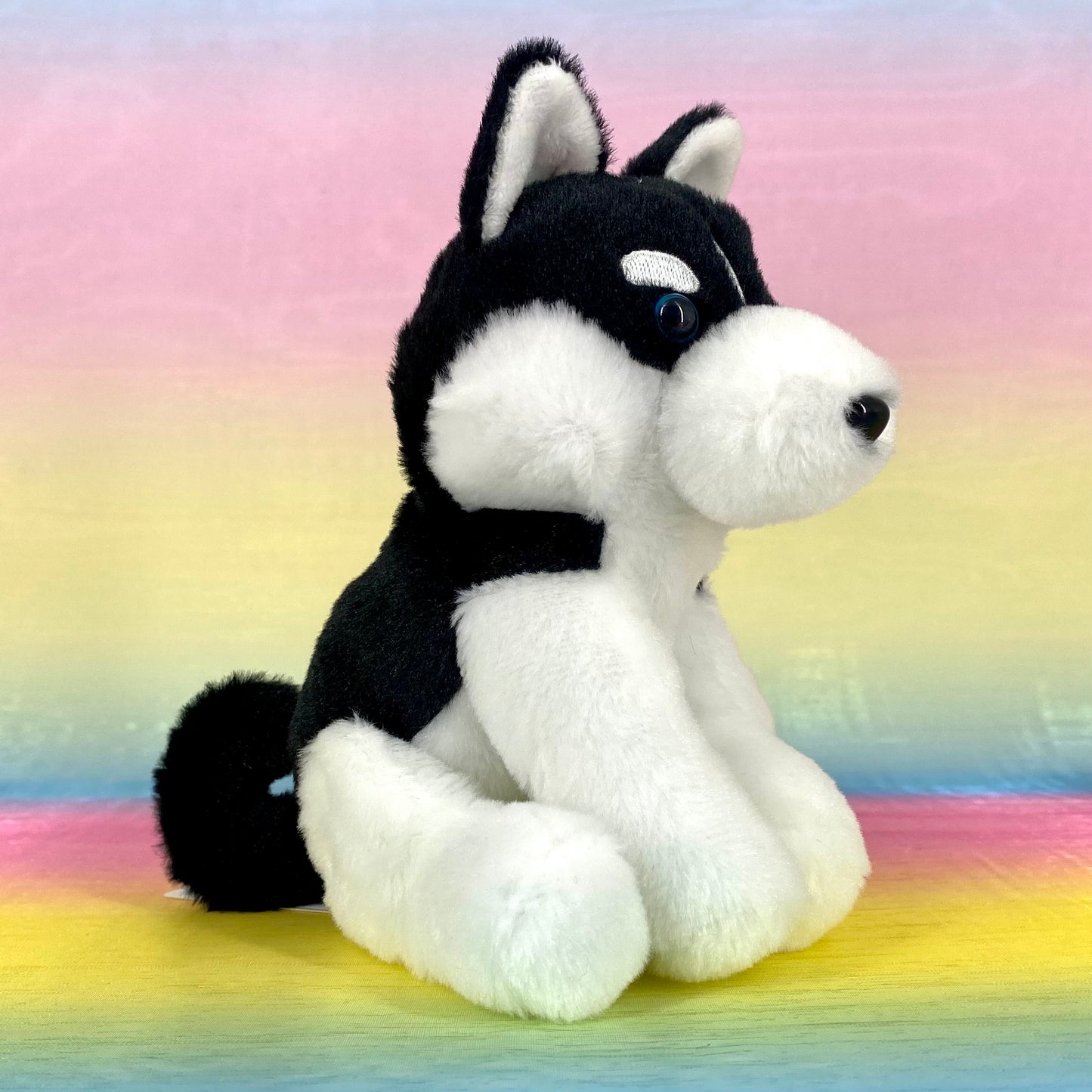 Kuttari The Siberian Husky - Black - Small