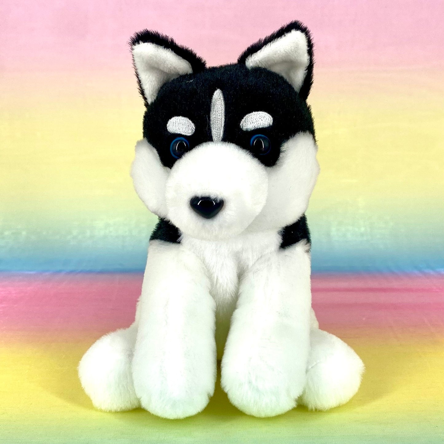 Kuttari The Siberian Husky - Black - Small