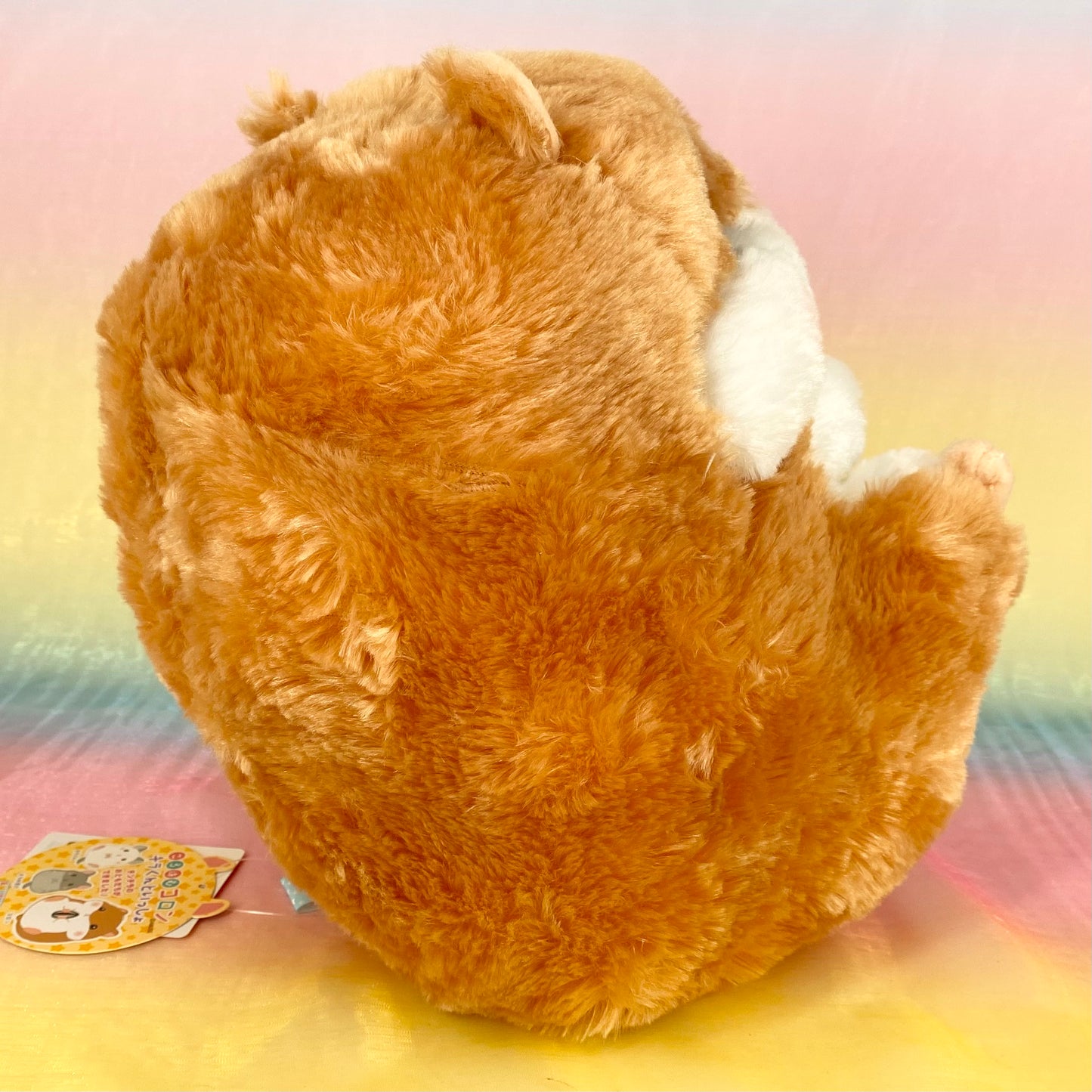 Coron Chira-kun Issho The Hamster - Butterscotch with Sunflower Seed - Medium