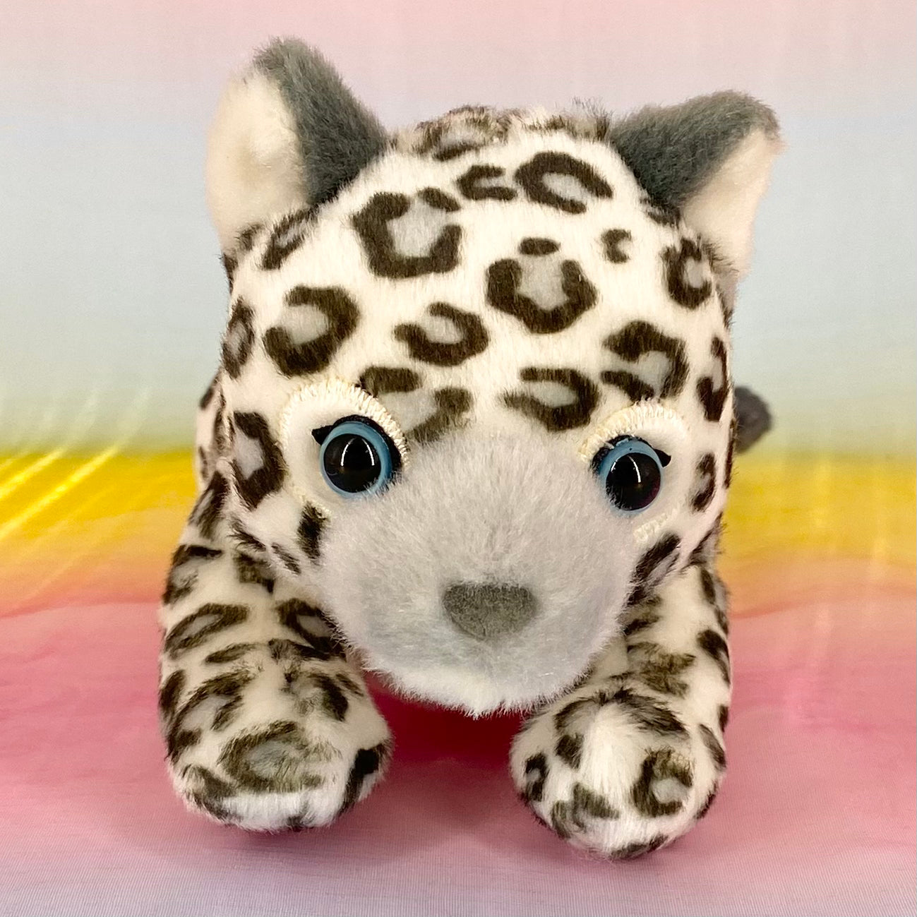 Sugar The Snow Leopard - Small